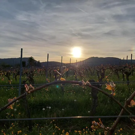 بيت للعطل Weinstrasse - Pfaelzer Wald Gocklingen