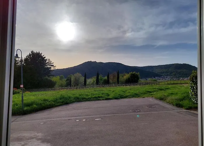 Weinstrasse - Pfaelzer Wald *