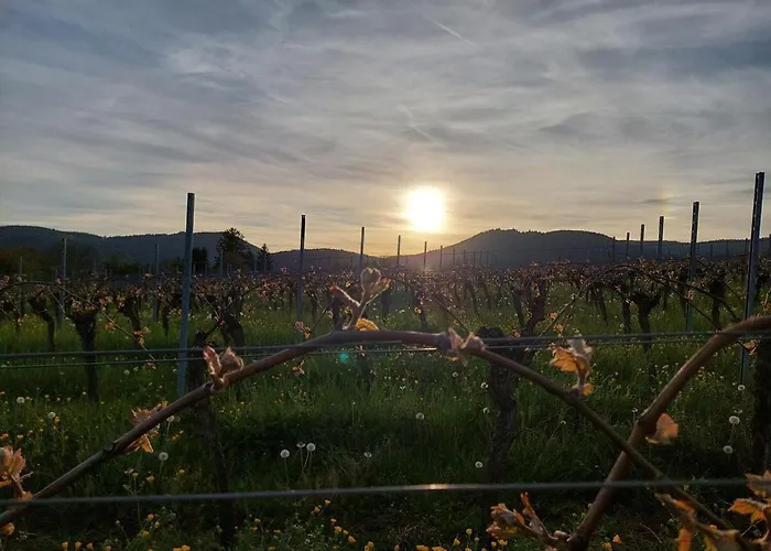 度假居 Weinstrasse - Pfaelzer Wald Gocklingen